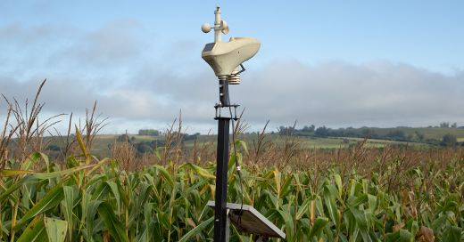 9 aspectos que podem influenciar a produção no campo