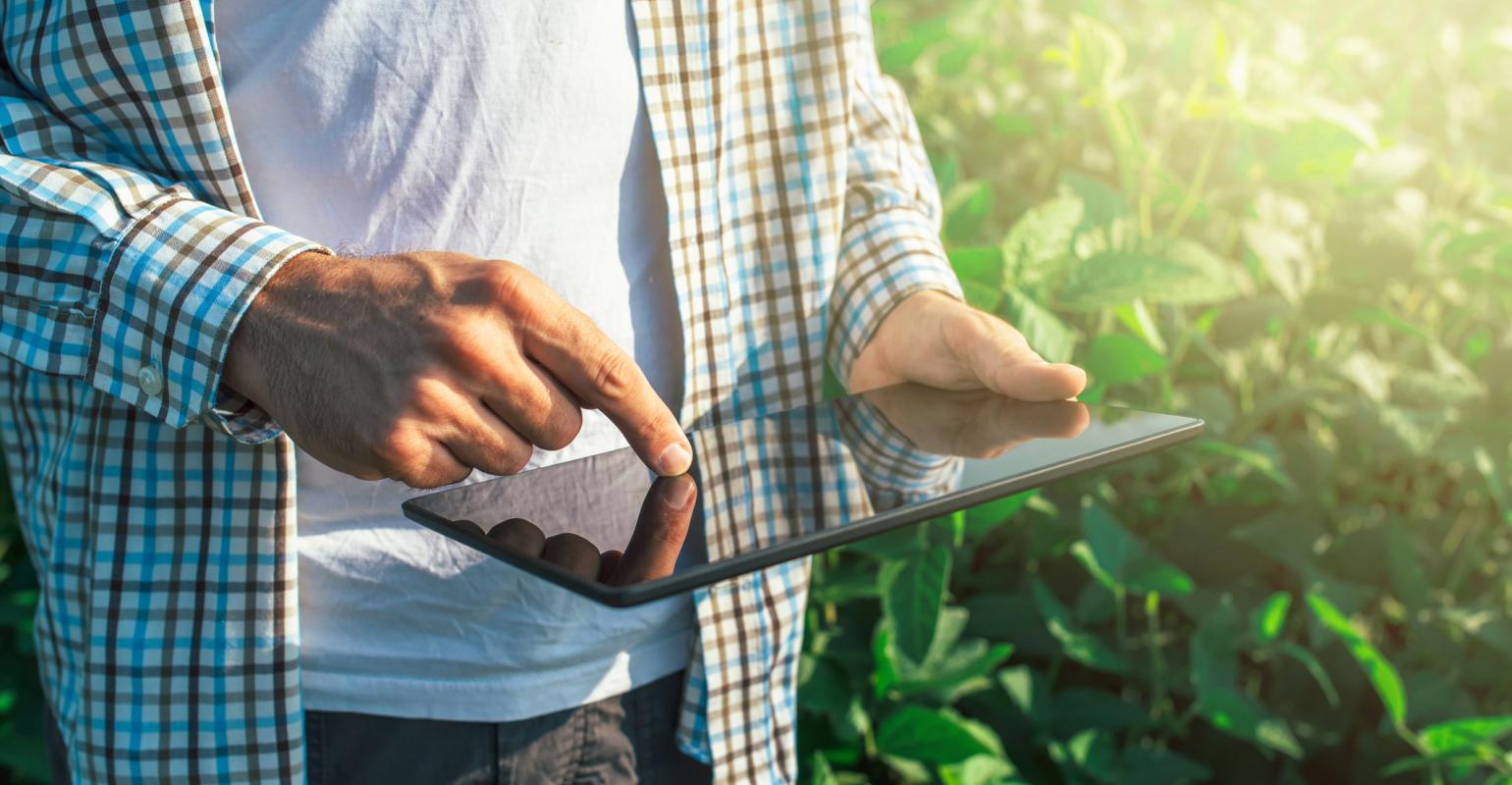 Como cooperativas, agroindústria e produtores rurais conseguem prever doenças?