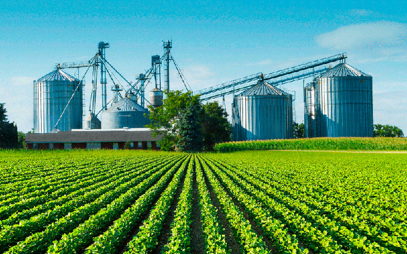 Nova Agri investe em s/4hana