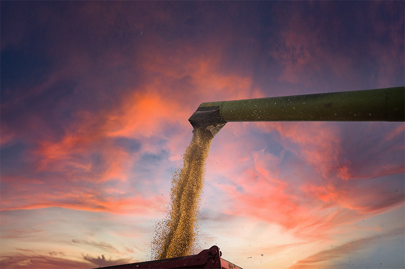 Originação de grãos: solução para precificação e contratação de commodities agrícolas