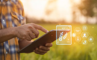 A tendência cloud no agronegócio: confira 6 vantagens